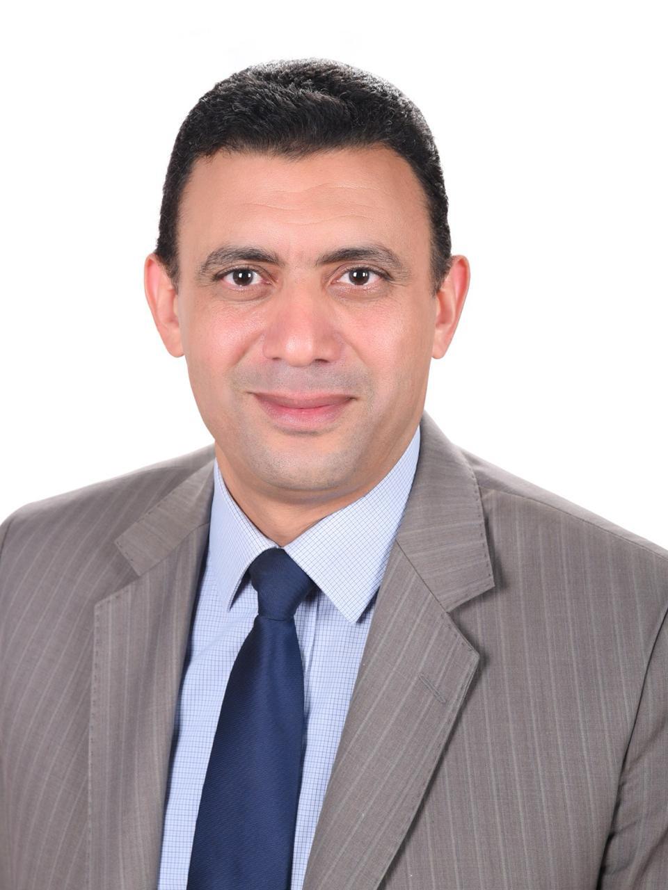 الاستاذ / عمرو لطفى